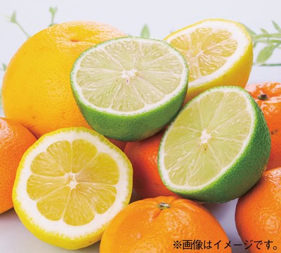 柑橘類詰め放題