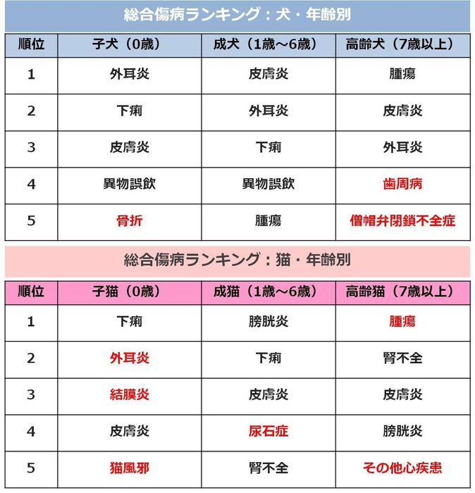 データ4