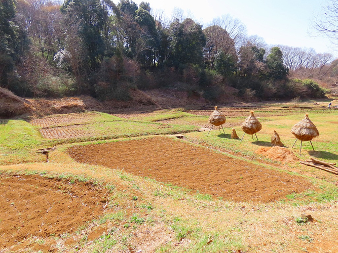 奈良ばい谷戸の風景