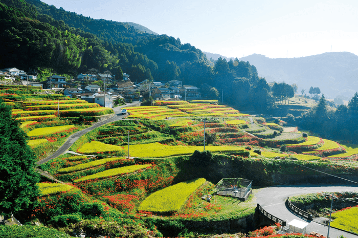 江里山の棚田