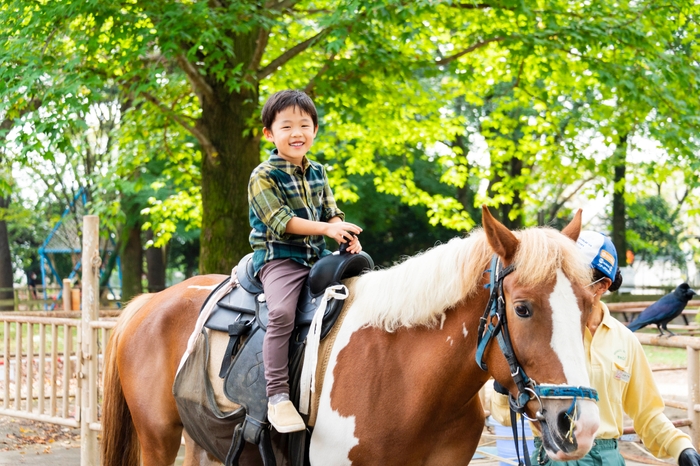 気軽にポニーの乗馬ができる施設として好評のスポット