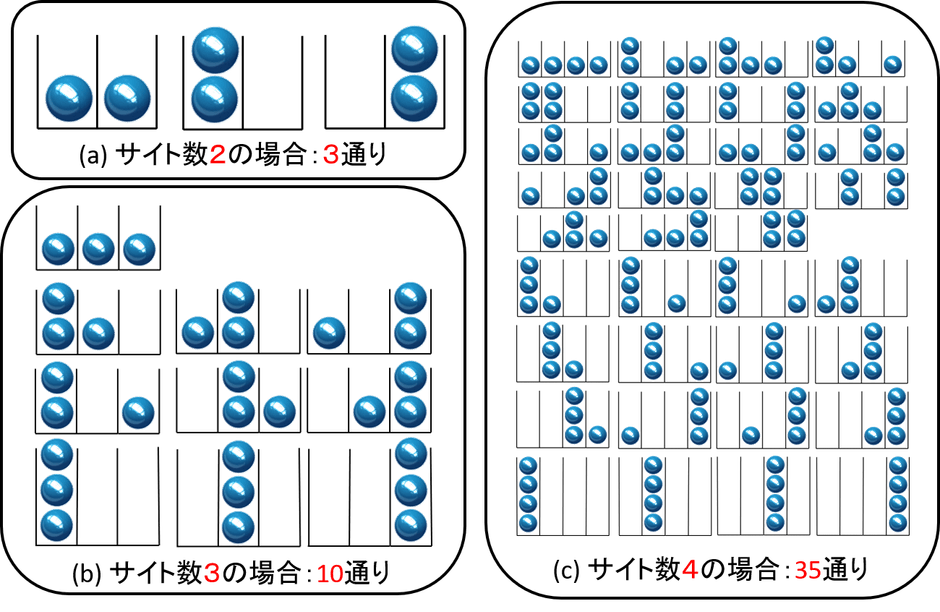 図1：サイト数と状態の数