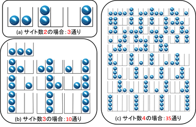 図1：サイト数と状態の数