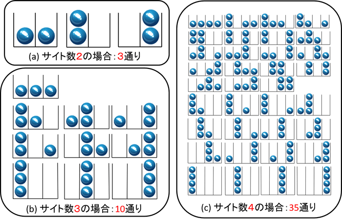 図1：サイト数と状態の数