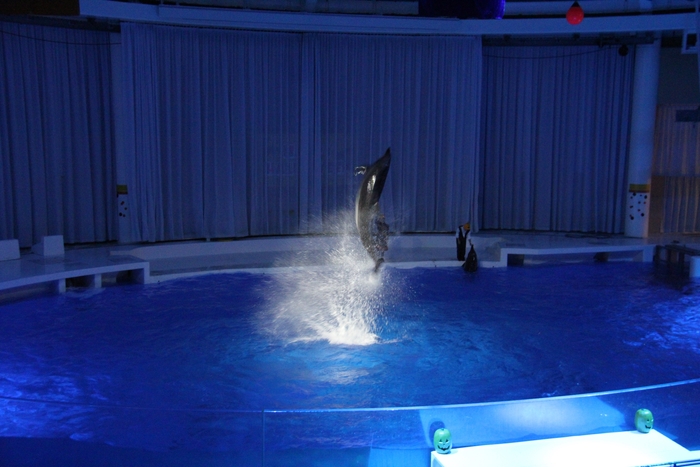 オーシャンライブ_2 ※画像はイメージです。