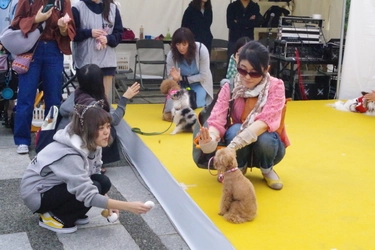 都心最大規模のワンちゃんイベント！ 「駒沢公園わんわんカーニバル2017」 東京都世田谷区「駒沢オリンピック公園　中央広場」にて 10月14日(土)、15(日)開催！