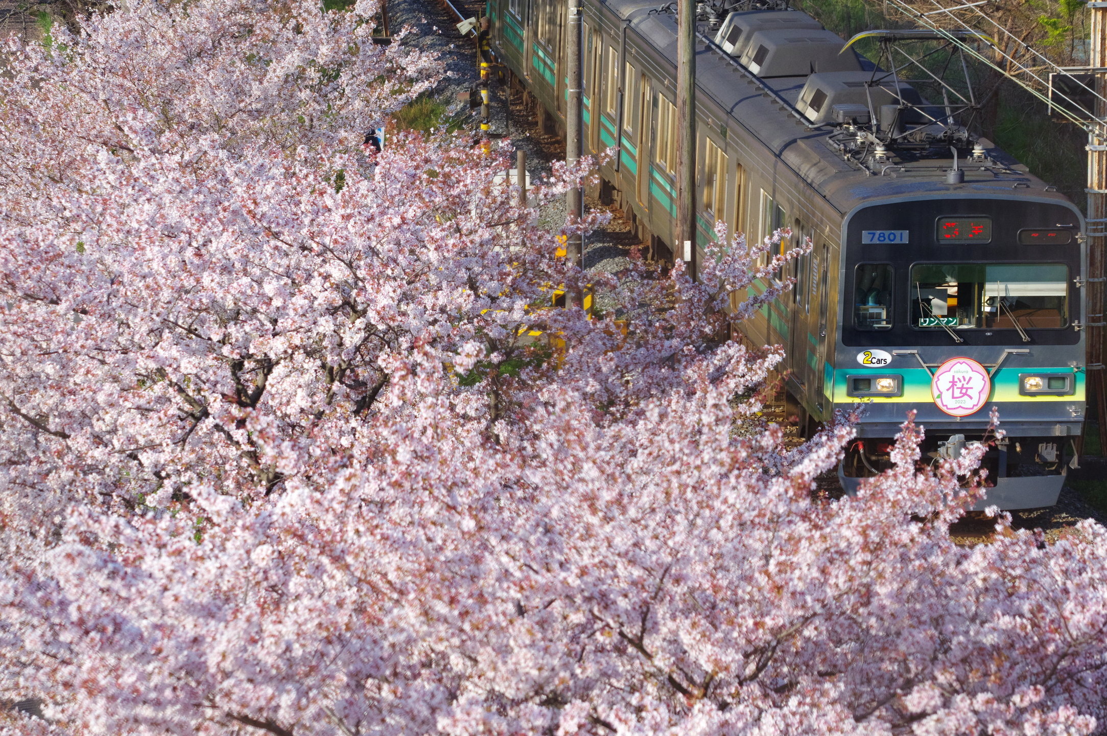 第22回秩父鉄道写真コンテスト 車両部門 推薦(秩父鉄道社長賞)作品 ※行田市内で撮影された作品