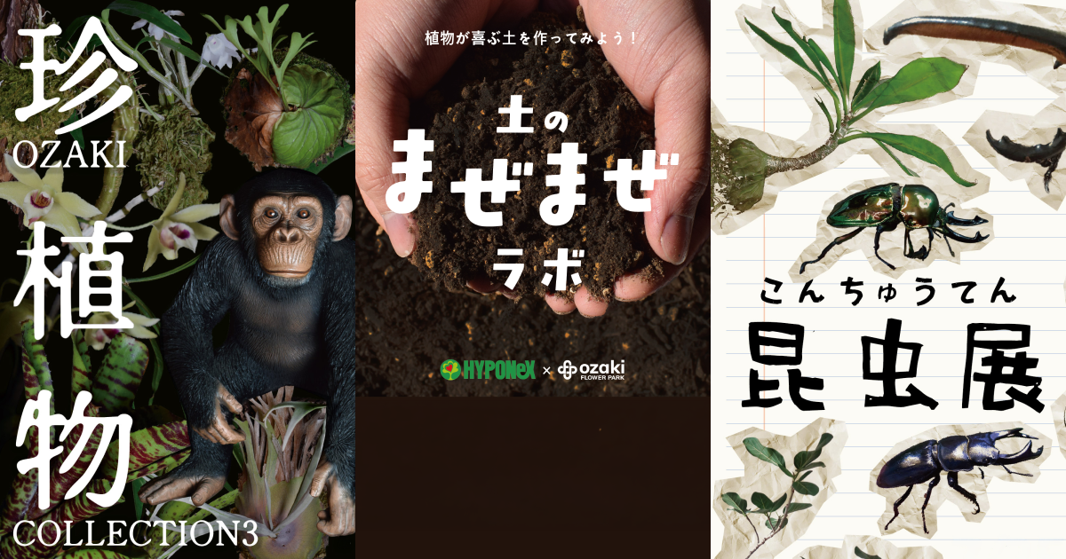 夏休みはオザキフラワーパークへ！珍植物・昆虫・爬虫類・植物あそびが集結する「夏の自然体験イベント」を7月25日より開催
