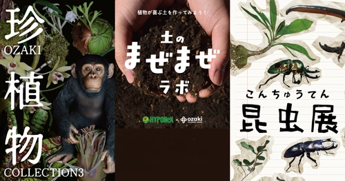 夏休みはオザキフラワーパークへ！珍植物・昆虫・爬虫類・植物あそびが集結する「夏の自然体験イベント」を7月25日より開催