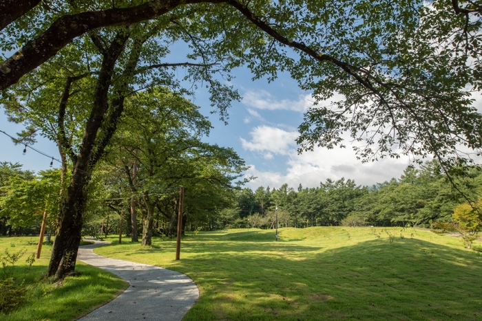 蔵王の心地良い風が通り抜ける「風の丘」