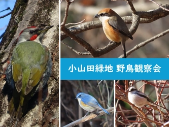 【解説付き】小山田緑地で冬鳥を探そう！2月24日(月・休)「野鳥観察会」参加者募集中！