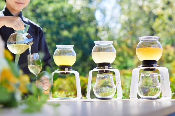 新茶利き茶体験