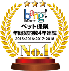 「損害保険見直し本舗の保険スクエアbang!」4年連続人気No.1