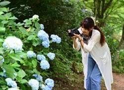 花めぐりの様子