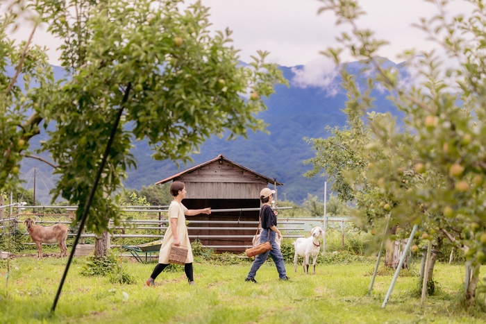 いいスポットを探す