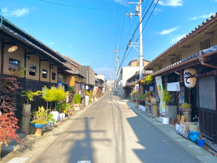 11月18日 午前10時の本通