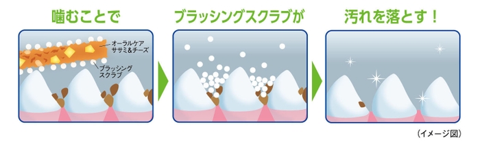 噛むことで「ブラッシングスクラブ」が歯と歯のすき間に入りこみ汚れを落とす