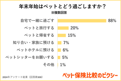 年末年始はペットとどう過ごしますか?
