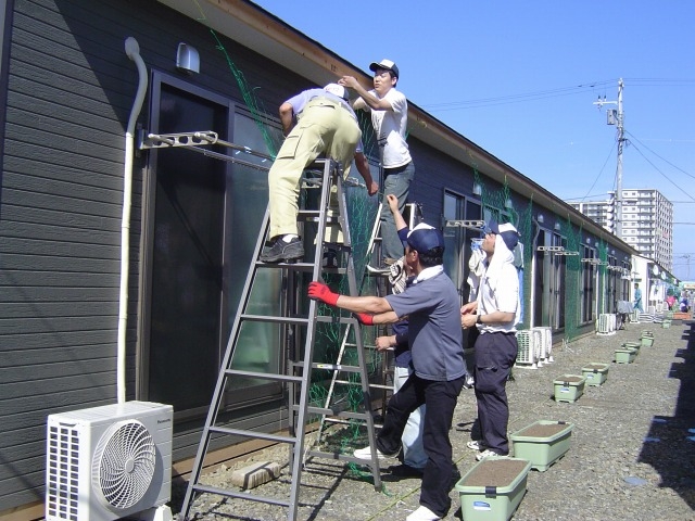 6/11仮設住宅への緑のカーテン設置作業風景