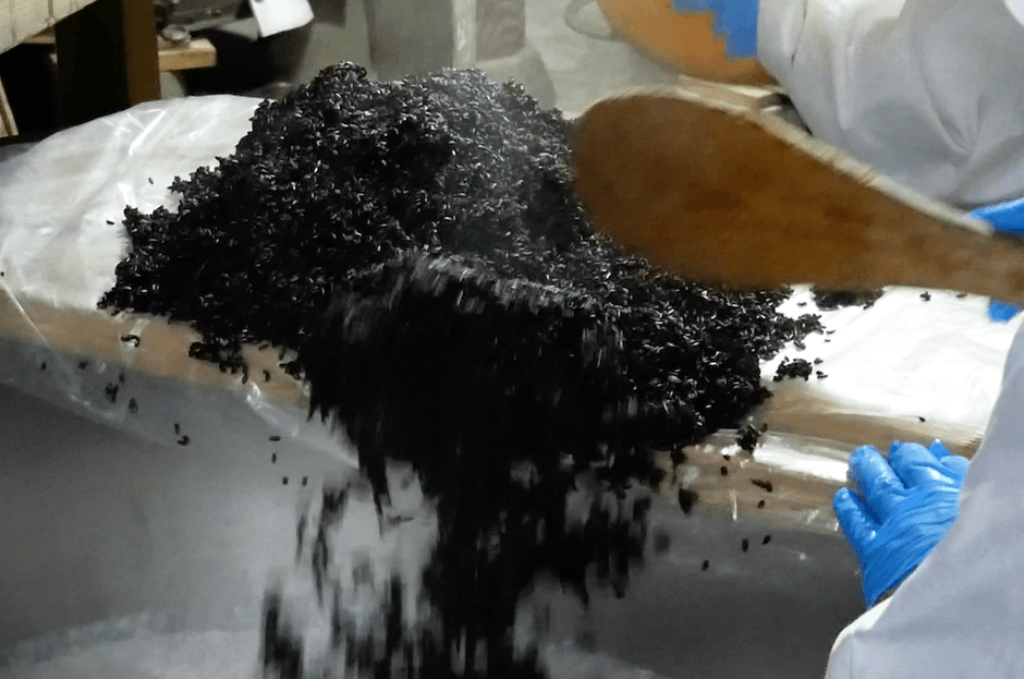 酒造りの様子 1