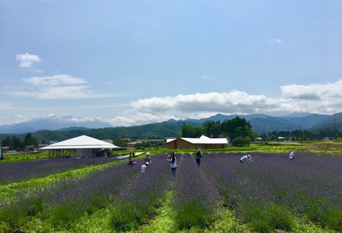 ヘルジアン・ウッドのハーブ園