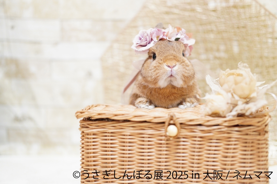 うさぎしんぼる 展示作品3