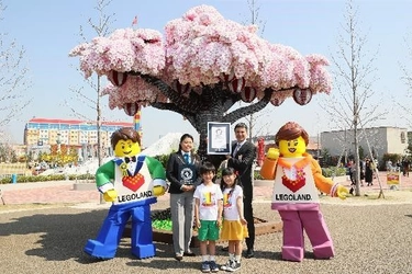 今年のお花見は『LEGOLAND Japan』で！ 『レゴブロックで作られた最大の桜の木』 ギネス世界記録認定！  