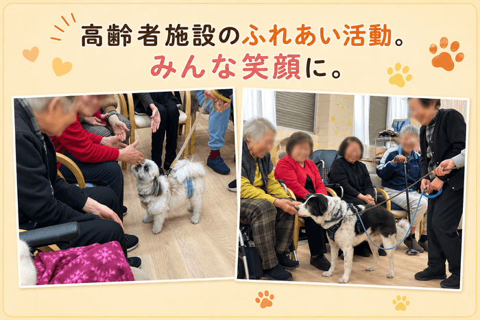 （高齢者の動かなかった手足が、わんちゃんと一緒だったら動き出す！そんな場面にたくさん遭遇してきました。犬の力を感じます）