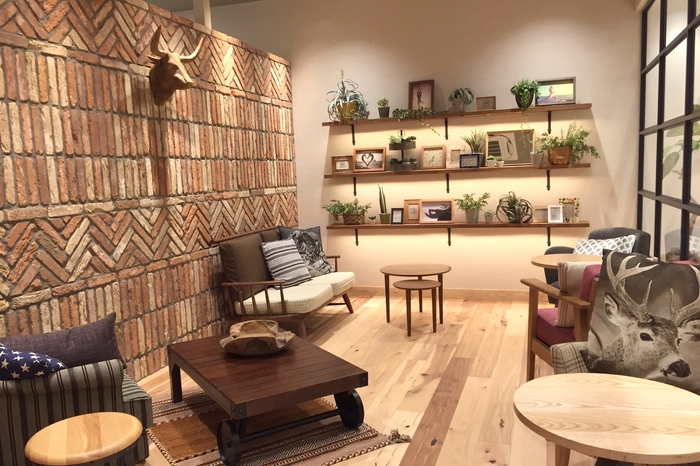 loIve(ロイブ)内観イメージ