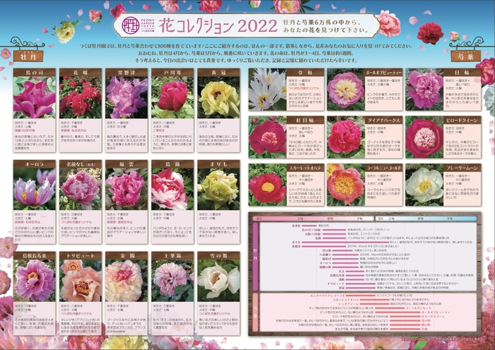 注目花の見頃がわかる花コレクション(園内で無料配布)