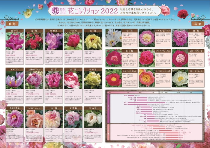 注目花の見頃がわかる花コレクション(園内で無料配布)