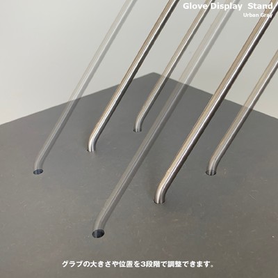 Glove Display スライド2