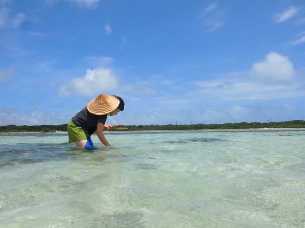 もずく収穫の様子