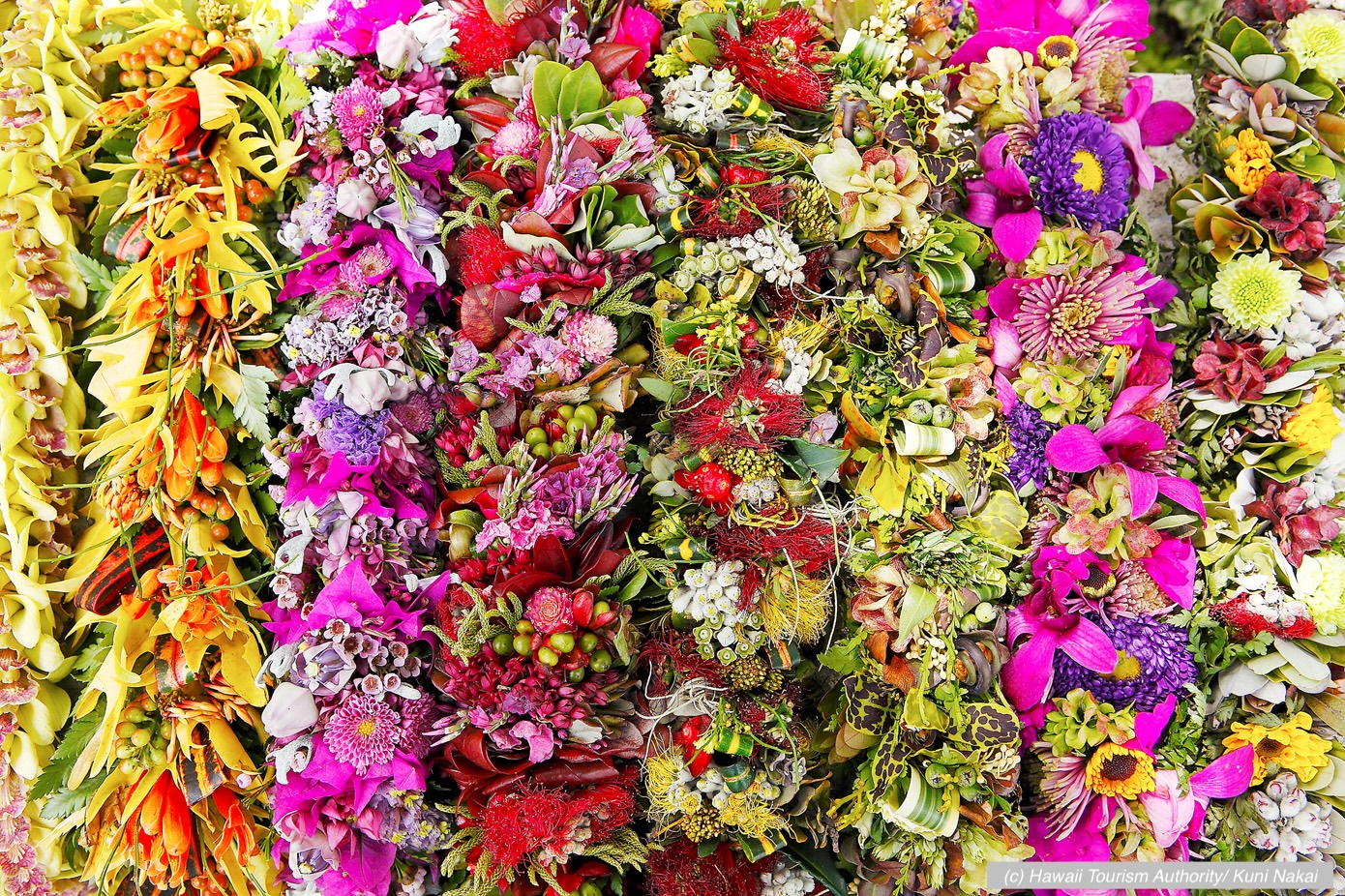 ハワイ州観光局、「レイデー」主要イベント情報をallhawaiiで公開