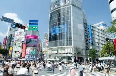 【渋谷・新宿・銀座】東京間借り三大タウンをまとめました