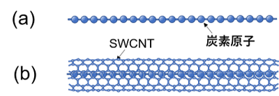 図1 (a) カーボンチェーンと(b) SWCNTに内包されたカーボンチェーン