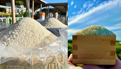 茨城県産 新米盛り放題