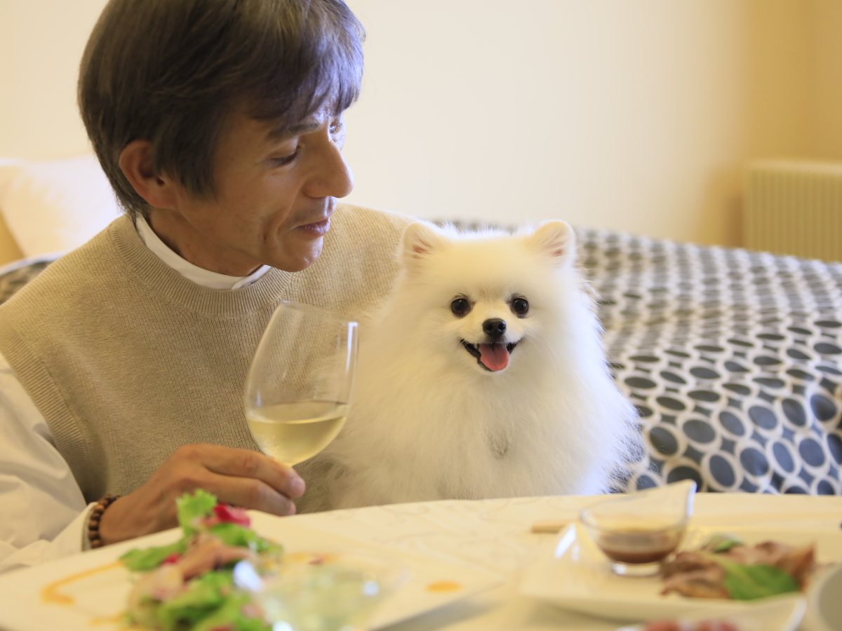 ＜期間限定＞部屋食プランでわんちゃん無料キャンペーン ご飯の時もずーっと一緒！愛犬とお得なおこもり旅しよう