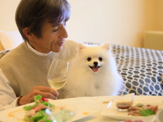 ＜期間限定＞部屋食プランでわんちゃん無料キャンペーン ご飯の時もずーっと一緒！愛犬とお得なおこもり旅しよう