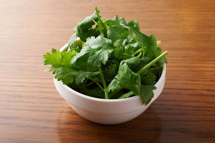 オープン記念！期間限定パクチー大盛り無料