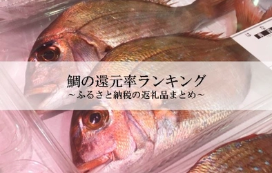 【2026年6月版】ふるさと納税でもらえる『鯛』の還元率ランキングを発表