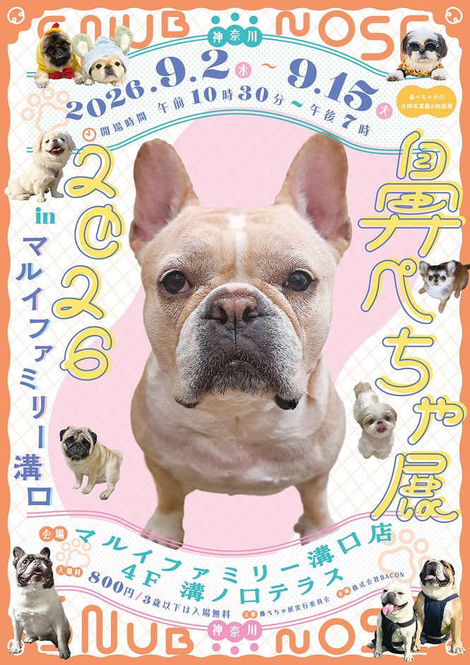 キービジュアル(縦)