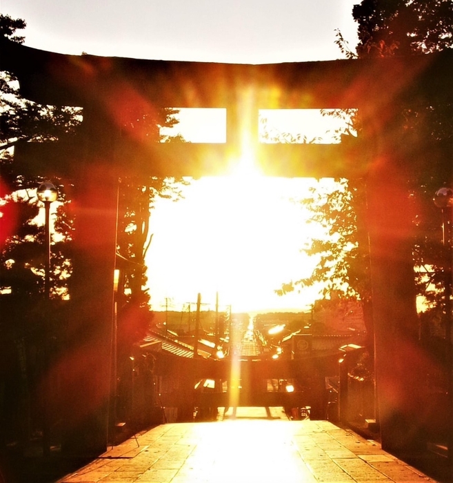 宮地嶽神社　光の道