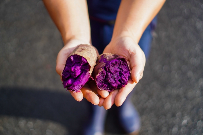 「えい紫」芋