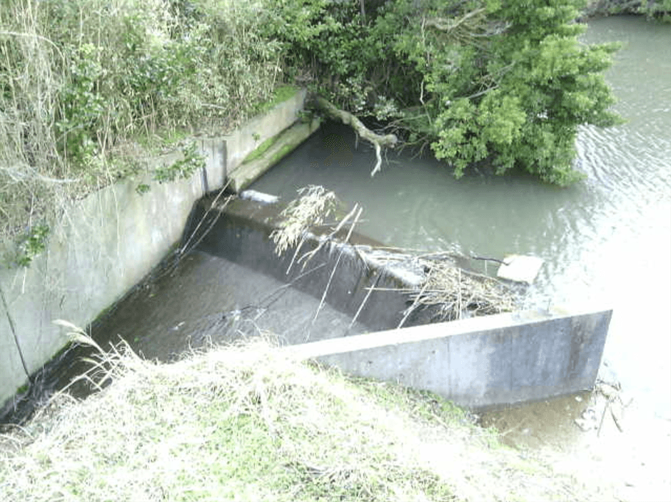 監視カメラ画像