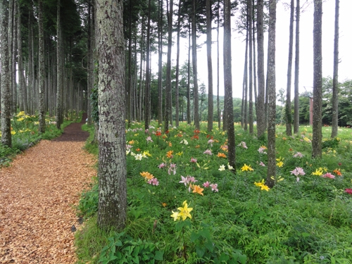8/5 林間コース