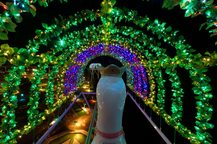 乗って遊べる遊園地ならではのイルミネーション