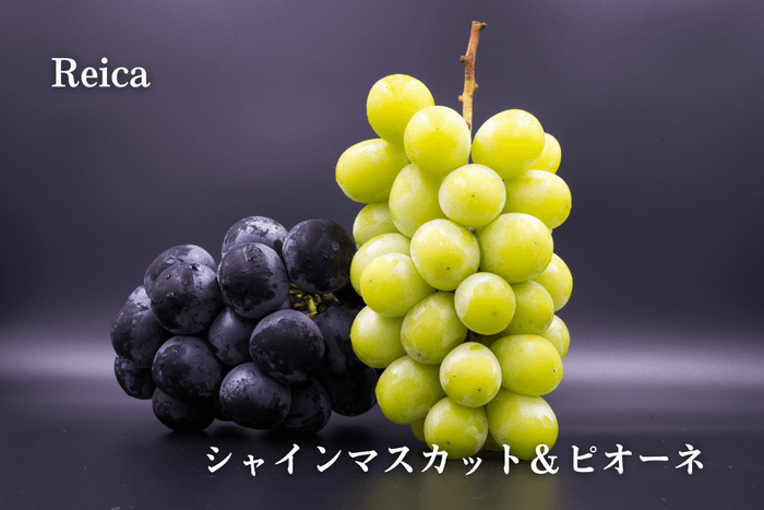 Reica「シャインマスカット&ピオーネ」