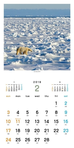 北極スマイル・南極スマイル カレンダー 2019(2月)