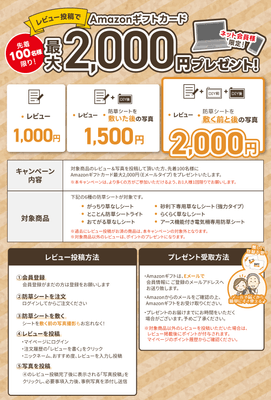レビュー投稿でAmazonギフトプレゼント